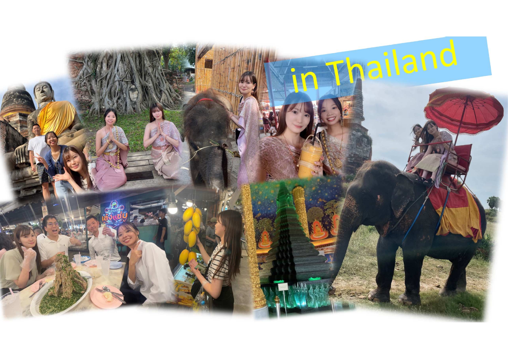 【株式会社レジデンシャル不動産】🌺海外進出！タイに行ってきました！！🌺 アイキャッチ画像